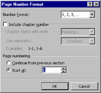 page number format